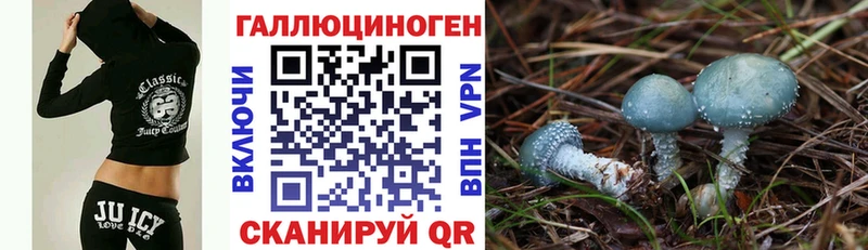 продажа наркотиков Невель KRAKEN зеркало Галлюциногенные грибы ЛСД